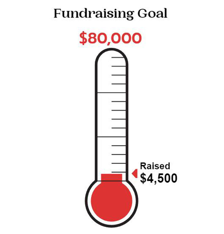 Fundraising Has Begun